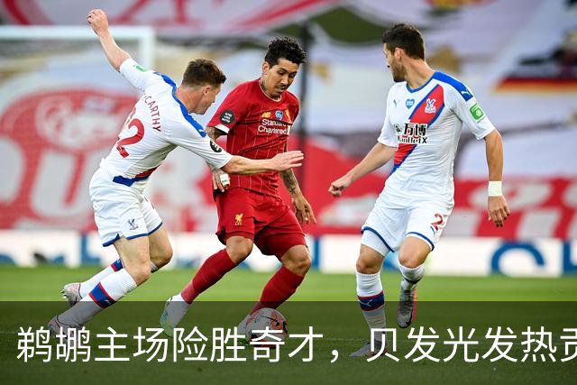 鹈鹕主场险胜奇才，贝发光发热贡献关键表现
